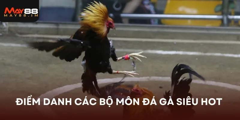 Điểm danh các bộ môn đá gà MAY88 siêu hot 