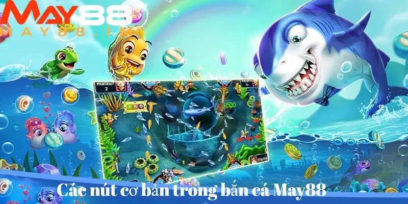 Thao tác cơ bản hội viên cần ghi nhớ kỹ